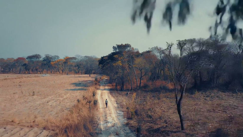 FREE EDUCATION- CONCEPT